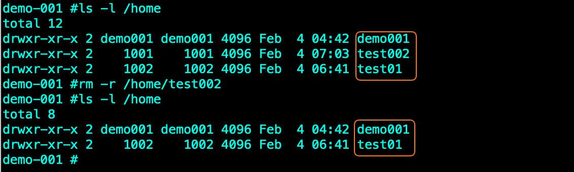 debian delete user and all files